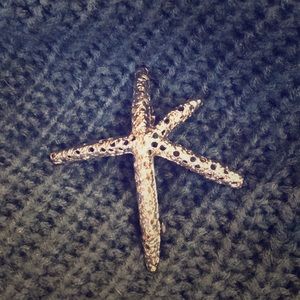 Starfish Hair Jewelry